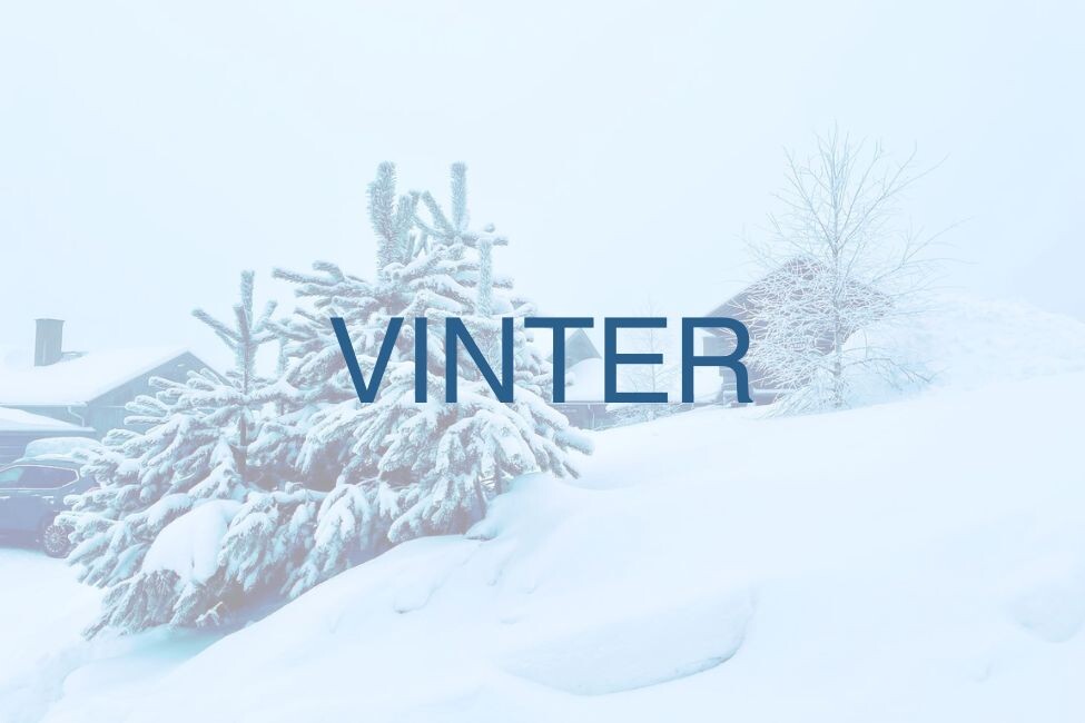 Vinter 1