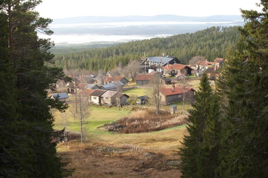 View of Fryksås pasture in fall